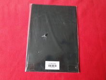 Load image into Gallery viewer, Vintage 18 Y.O. + Adult Erotic Sexy Men's Magazine Call Love Danish 73