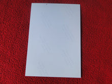 Load image into Gallery viewer, Vintage 18 Y.O + Gay Interest Nude Hot Hung Male Photo D12c