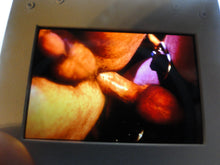 Load image into Gallery viewer, VINTAGE 35MM GAY MALE SLIDE BEEFCAKE MUSCLE NUDE FALCON STUDIOS JEk
