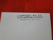 Load image into Gallery viewer, Vintage 18 Y.O + Gay Interest Nude Hot Hung Male Photo Fox /Colt 5 x 7 D^3