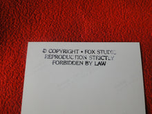 Load image into Gallery viewer, Vintage 18 Y.O + Gay Interest Nude Hot Hung Male Photo Fox /Colt 5 x 7 D^5