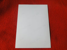 Load image into Gallery viewer, Vintage 18 Y.O + Gay Interest Nude Hot Hung Male Photo Fox /Colt 5 x 7 D^7