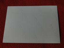 Load image into Gallery viewer, Vintage 18 Y.O + Gay Interest Nude Hot Hung Male Photo Fox /Colt 5 x 7 D^11