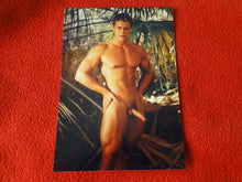 Load image into Gallery viewer, Vintage 18 Y.O + Gay Interest Nude Hot Hung Male Photo Fox /Colt 5 x 7 D^13