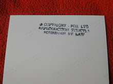 Load image into Gallery viewer, Vintage 18 Y.O + Gay Interest Nude Hot Hung Male Photo Fox /Colt 5 x 7 D^14