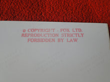 Load image into Gallery viewer, Vintage 18 Y.O + Gay Interest Nude Hot Hung Male Photo Fox /Colt 5 x 7 D^18