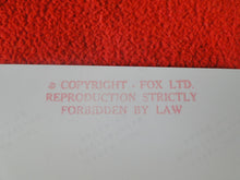 Load image into Gallery viewer, Vintage 18 Y.O + Gay Interest Nude Hot Hung Male Photo Fox /Colt 5 x 7 D^21