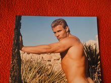 Load image into Gallery viewer, Vintage 18 Y.O + Gay Interest Nude Hot Hung Male Photo Fox /Colt 5 x 7 D^23