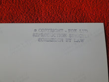 Load image into Gallery viewer, Vintage 18 Y.O + Gay Interest Nude Hot Hung Male Photo Fox /Colt 5 x 7 D^25