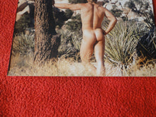 Load image into Gallery viewer, Vintage 18 Y.O + Gay Interest Nude Hot Hung Male Photo Fox /Colt 5 x 7 D^28