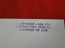 Load image into Gallery viewer, Vintage 18 Y.O + Gay Interest Nude Hot Hung Male Photo Fox /Colt 5 x 7 D^28