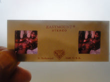 Load image into Gallery viewer, Copy of Vintage Adult Erotic 3D Stereoview Nude Hot Hung Gay Black Man Slide A70c