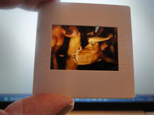 Load image into Gallery viewer, VINTAGE 35MM GAY MALE SLIDE BEEFCAKE MUSCLE NUDE FALCON STUDIOS R2g