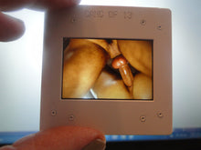 Load image into Gallery viewer, VINTAGE 35MM GAY MALE SLIDE BEEFCAKE MUSCLE NUDE FALCON STUDIOS R2t