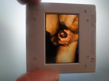 Load image into Gallery viewer, VINTAGE 35MM GAY MALE SLIDE BEEFCAKE MUSCLE NUDE FALCON STUDIOS R3f