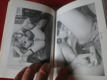 Load image into Gallery viewer, Vintage Adult Paperback Novel/Book Sex In America Y