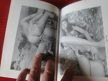 Load image into Gallery viewer, Vintage Adult Paperback Novel/Book Sex In America Y