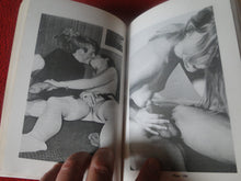 Load image into Gallery viewer, Vintage Adult Paperback Novel/Book Sex In America Y