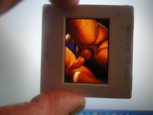 Load image into Gallery viewer, VINTAGE 35MM GAY MALE SLIDE BEEFCAKE MUSCLE NUDE FALCON STUDIOS R5e