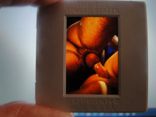 Load image into Gallery viewer, VINTAGE 35MM GAY MALE SLIDE BEEFCAKE MUSCLE NUDE FALCON STUDIOS R5e