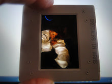 Load image into Gallery viewer, VINTAGE 35MM GAY MALE SLIDE BEEFCAKE MUSCLE NUDE FALCON STUDIOS R5u