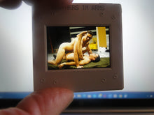 Load image into Gallery viewer, VINTAGE 35MM GAY MALE SLIDE BEEFCAKE MUSCLE NUDE FALCON STUDIOS R5^