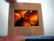 Load image into Gallery viewer, VINTAGE 35MM GAY MALE SLIDE BEEFCAKE MUSCLE NUDE FALCON STUDIOS R6z