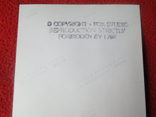 Load image into Gallery viewer, Vintage 18 Y.O. + Gay Interest Nude Hot Hung Muscular Male Colt/Fox Photo 5 x 7 H7k