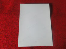 Load image into Gallery viewer, Vintage 18 Y.O + Gay Interest Colt Studios Nude Hot Hung Male Photo H26c