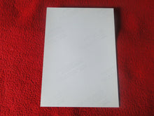 Load image into Gallery viewer, Vintage 18 Y.O + Gay Interest Colt Studios Nude Hot Hung Male Photo H26d