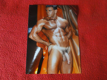 Load image into Gallery viewer, Vintage 18 Y.O + Gay Interest Colt Studios Nude Hot Hung Male Photo H26g