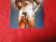Load image into Gallery viewer, Vintage 18 Y.O + Gay Interest Colt Studios Nude Hot Hung Male Photo H26q