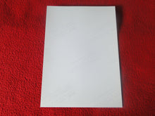 Load image into Gallery viewer, Vintage 18 Y.O + Gay Interest Colt Studios Nude Hot Hung Male Photo H261