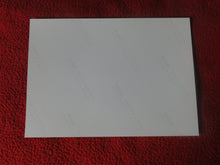 Load image into Gallery viewer, Vintage 18 Y.O + Gay Interest Colt Studios Nude Hot Hung Male Photo H263