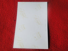 Load image into Gallery viewer, Vintage 18 Year Old + Gay Interest Chippendale Muscle Nude Male Photo E1aq