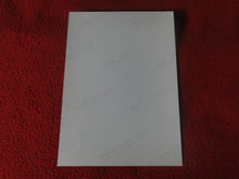 Load image into Gallery viewer, Vintage 18 Y.O + Gay Interest Colt Studios Nude Hot Hung Male Photo H268