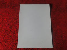 Load image into Gallery viewer, Vintage 18 Y.O + Gay Interest Colt Studios Nude Hot Hung Male Photo H2613