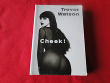 Load image into Gallery viewer, Vintage 18 YO+ Sexy Erotic Adult Book Cheek Trevor Watson SEALED P12