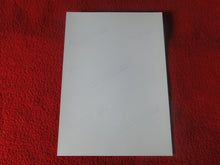 Load image into Gallery viewer, Vintage 18 Y.O + Gay Interest Colt Studios Nude Hot Hung Male Photo H2617