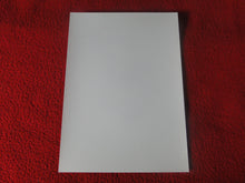 Load image into Gallery viewer, Vintage 18 Y.O + Gay Interest Colt Studios Nude Hot Hung Male Photo H2618