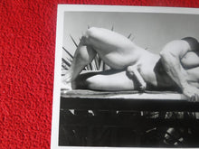 Load image into Gallery viewer, Vintage 18 Y.O + Gay Interest Colt Studios Nude Hot Hung Male Photo H2625