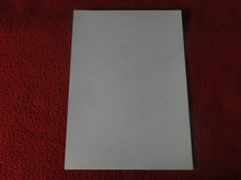 Load image into Gallery viewer, Vintage 18 Y.O + Gay Interest Colt Studios Nude Hot Hung Male Photo H2629