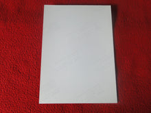 Load image into Gallery viewer, Vintage 18 Y.O + Gay Interest Colt Studios Nude Hot Hung Male Photo H2630