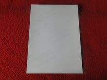 Load image into Gallery viewer, Vintage 18 Y.O + Gay Interest Colt Studios Nude Hot Hung Male Photo H2636