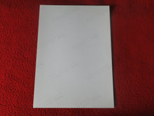 Load image into Gallery viewer, Vintage 18 Y.O + Gay Interest Colt Studios Nude Hot Hung Male Photo H2641