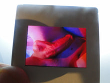 Load image into Gallery viewer, VINTAGE 35MM GAY MALE SLIDE BEEFCAKE MUSCLE NUDE FALCON STUDIOS G7b
