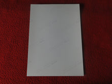 Load image into Gallery viewer, Vintage 18 Y.O + Gay Interest Colt Studios Nude Hot Hung Male Photo H2642