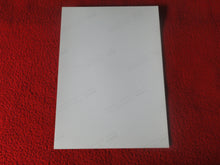 Load image into Gallery viewer, Vintage 18 Y.O + Gay Interest Colt Studios Nude Hot Hung Male Photo H2644