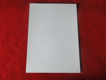 Load image into Gallery viewer, Vintage 18 Y.O + Gay Interest Colt Studios Nude Hot Hung Male Photo H2651