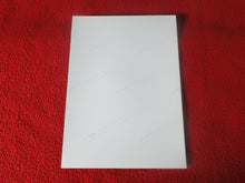 Load image into Gallery viewer, Vintage 18 Y.O + Gay Interest Colt Studios Nude Hot Hung Male Photo H2660